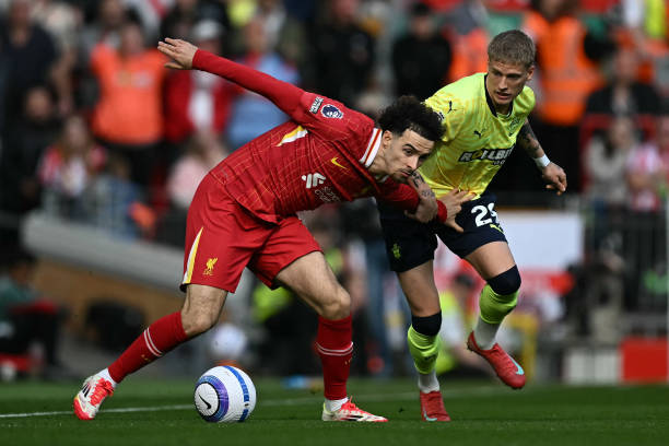 是偶然的意 是偶然的意